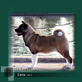 Click to Enter Ember's Page