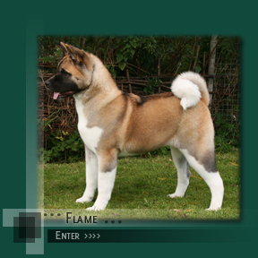 Enter Flame's Page