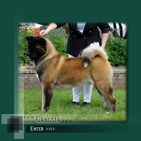 Click to Enter Gangsta's Page