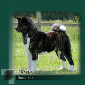 Click to enter Karma's Page
