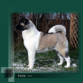 Enter Maisey's Page