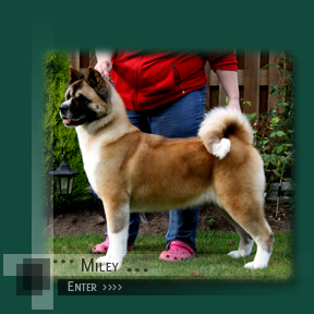 Click to Enter Miley's Page