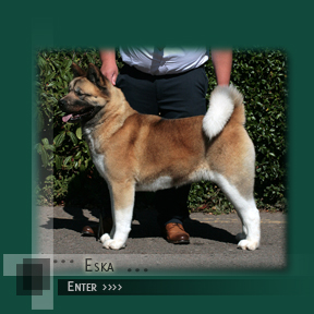 Enter Eska's Page