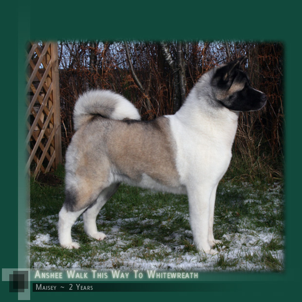 Maisey 22 Months