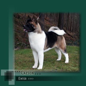 Enter Caeson's Page