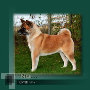 Enter Remi's Page
