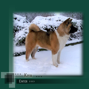 Enter Kiya's Page